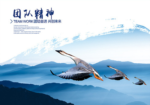 179636_065420005000_2 - 副本 - 副本 (2).jpg